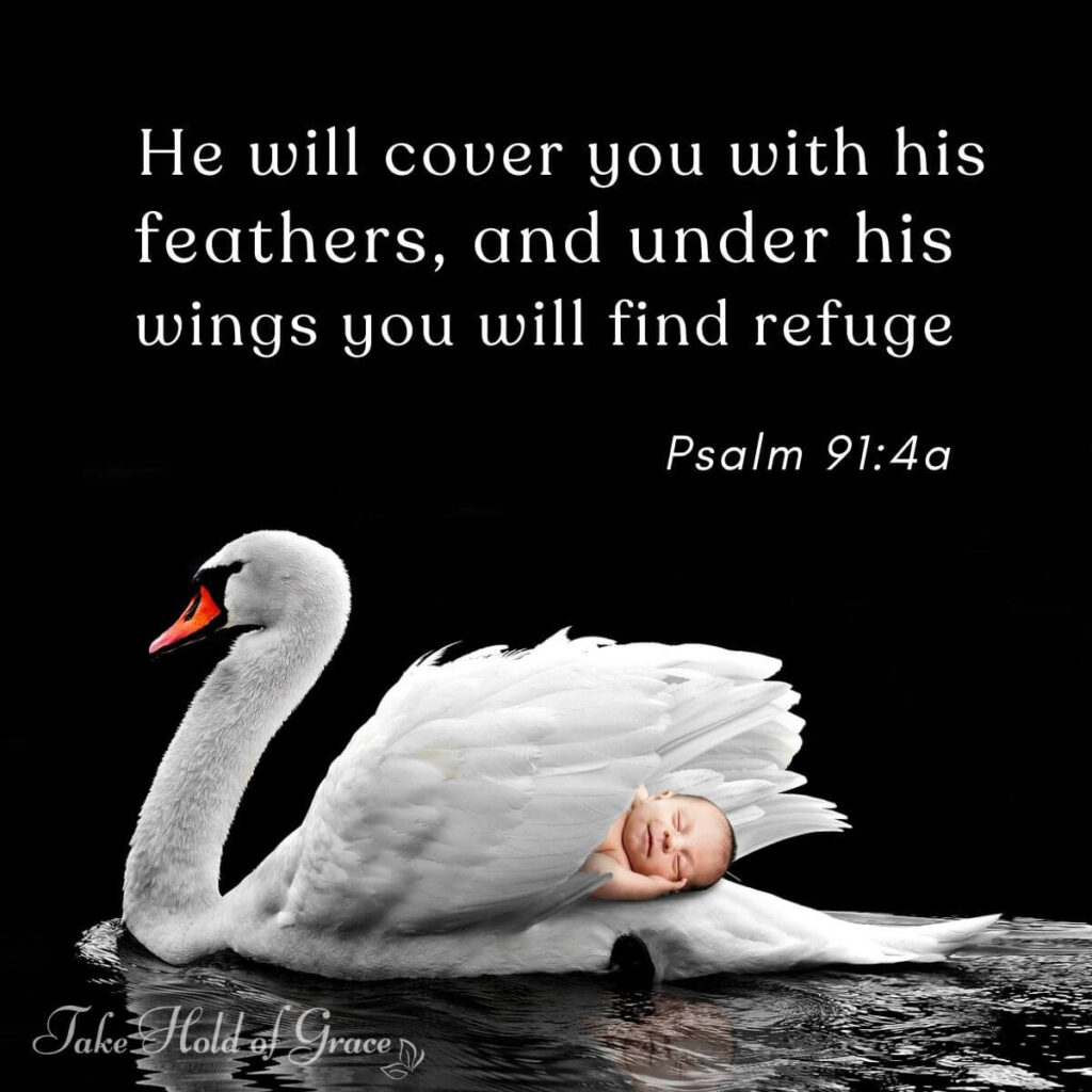 He will cover you with his feathers